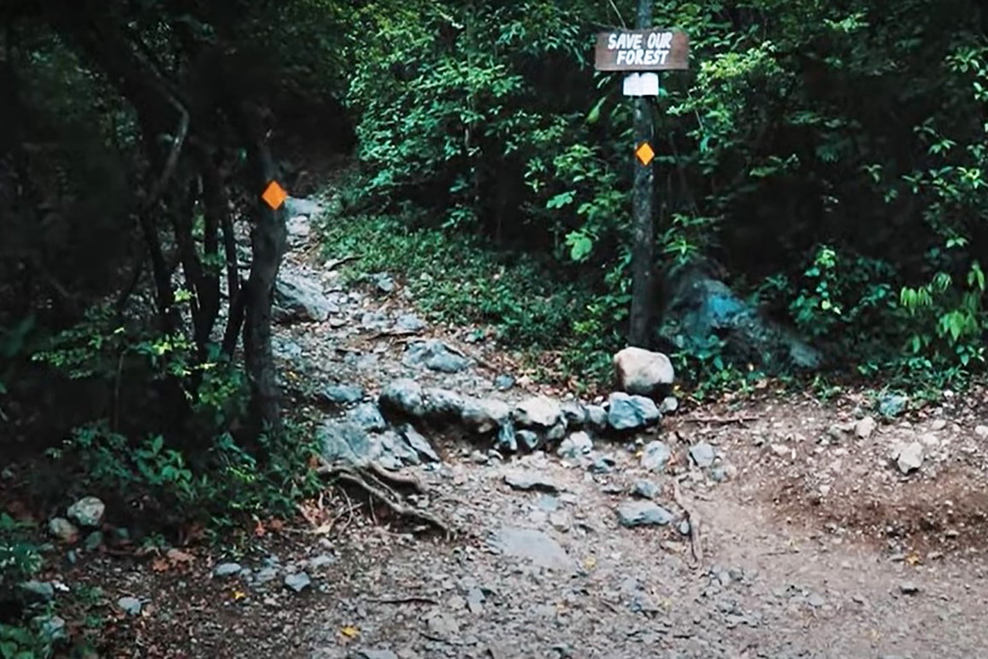 7 Best Hiking Trails in Islamabad Hiking Trails in Islamabad