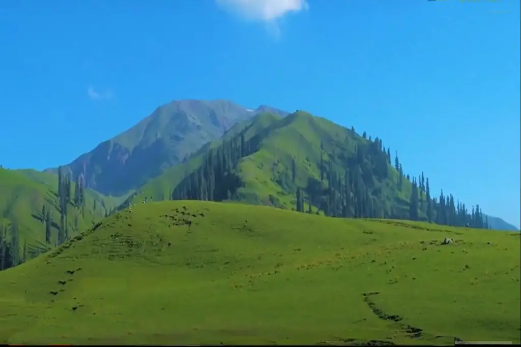 beautiful places in the world, best time to visit siri paye meadows