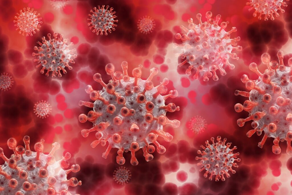 end of corona virus epidemic