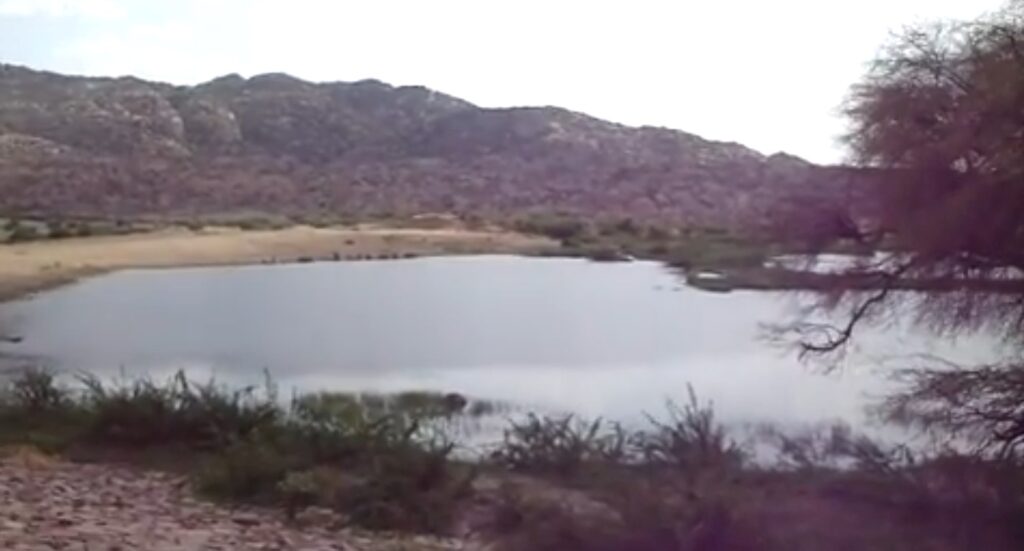 Bhodesar