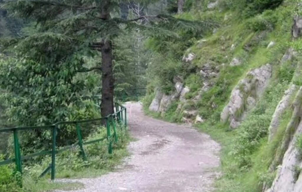 Ayubia national park