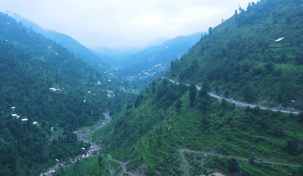 Shangla Top