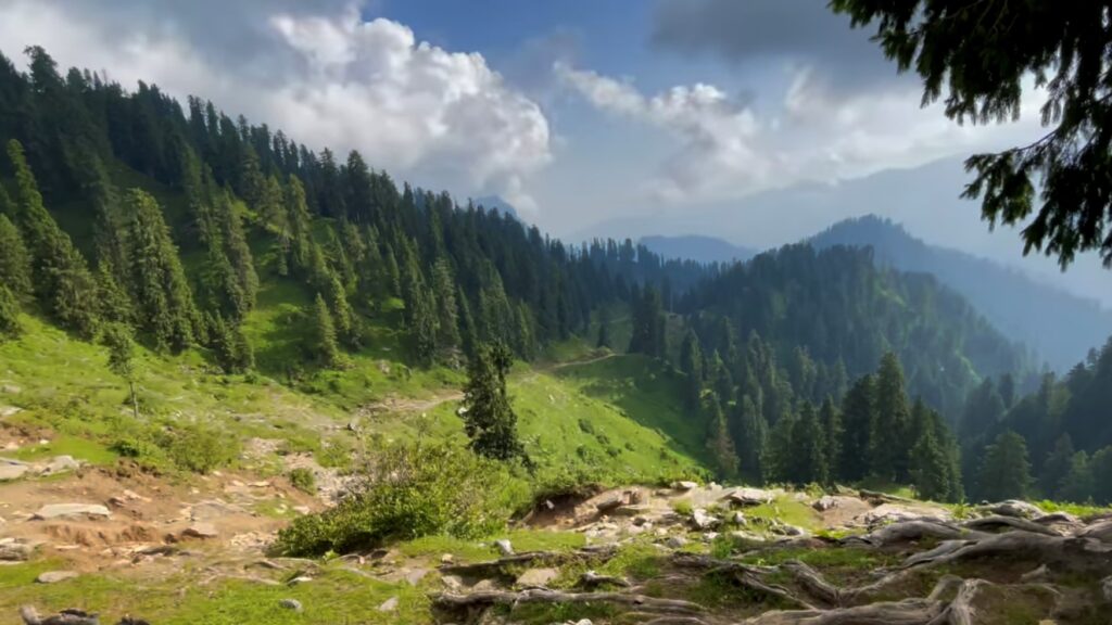 aram gali