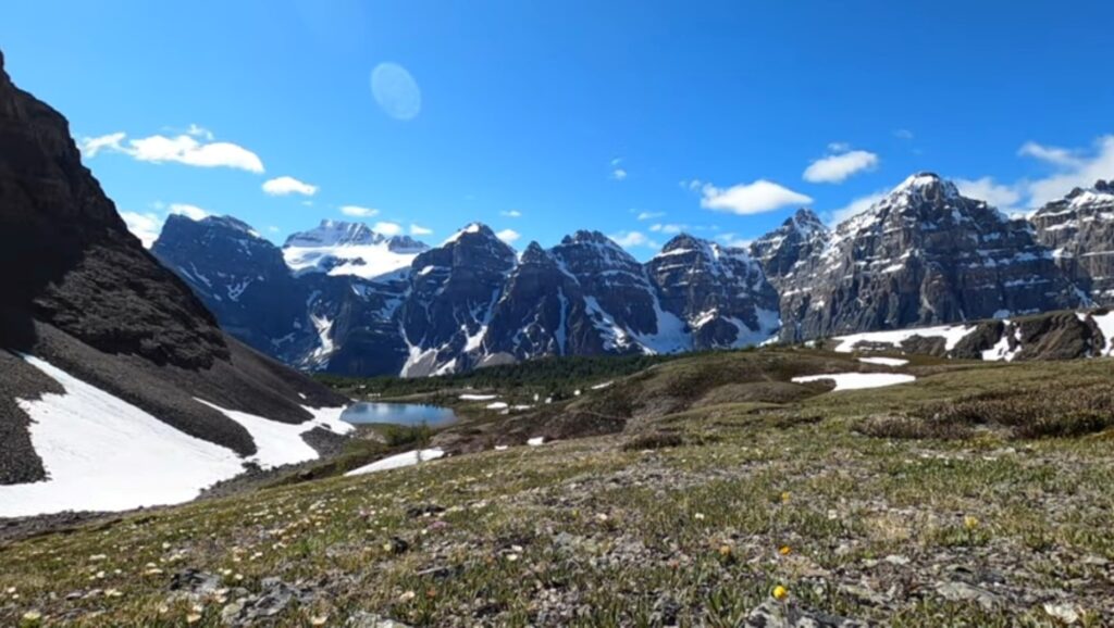 Larch Valley
