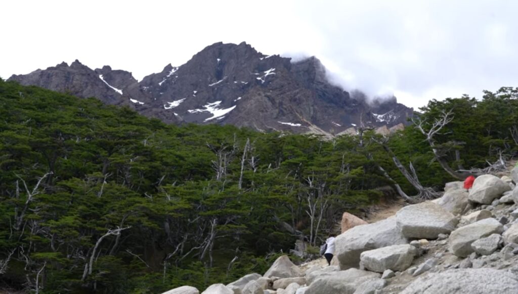 Mirador Las Torres