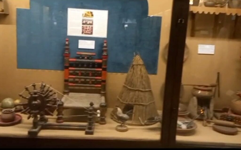 collection galleries at the lahore museum