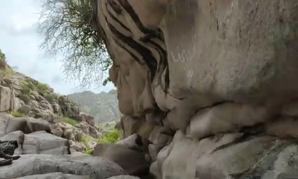 gao mukhi sindh
